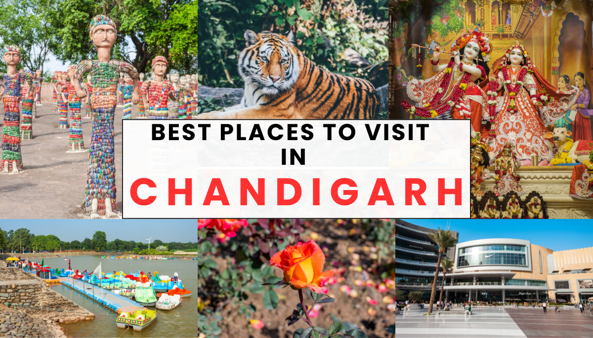 Best Places to Visit in Chandigarh