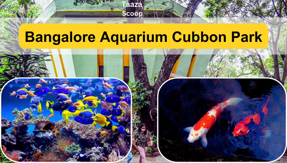 Bangalore Aquarium Cubbon Park