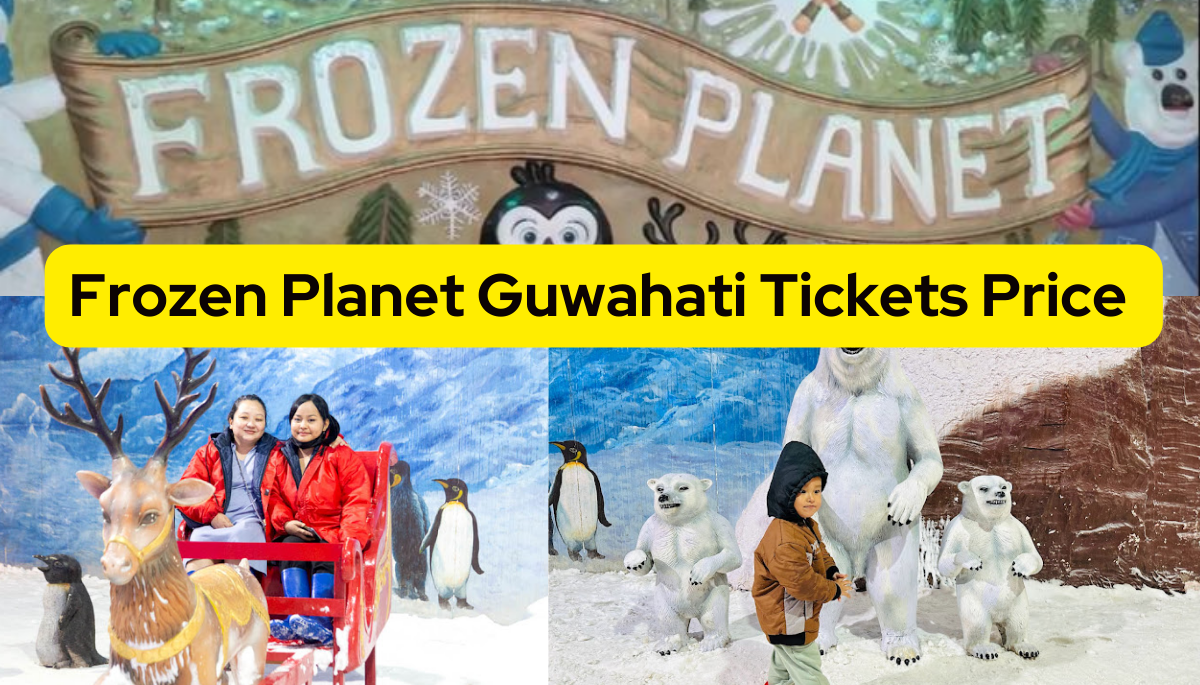 Frozen Planet Guwahati