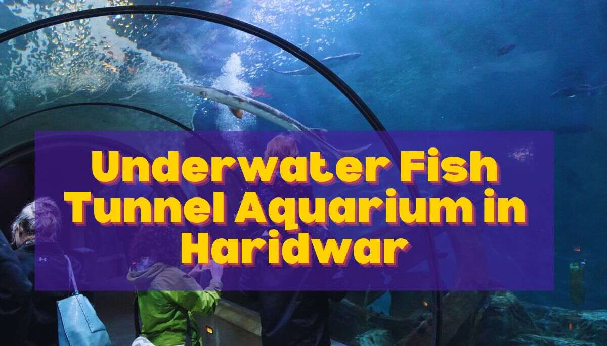 Underwater Fish Tunnel Aquarium Haridwar