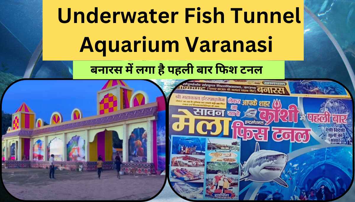 Underwater Fish Tunnel Aquarium Varanasi